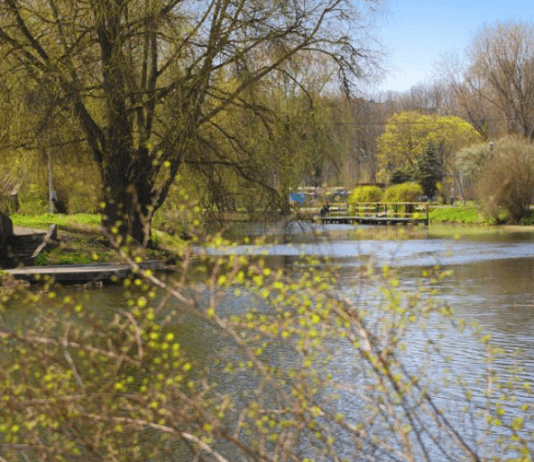 В зооуголке тернопольского парка отменили карантин парк