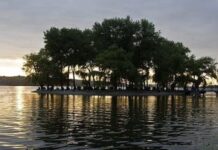 Тернопольский пруд зарыбили