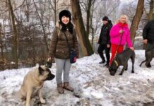 В Тернополе открыта первая площадка для выгула собак