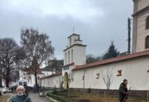 В Теребовле посажена аллея сакур