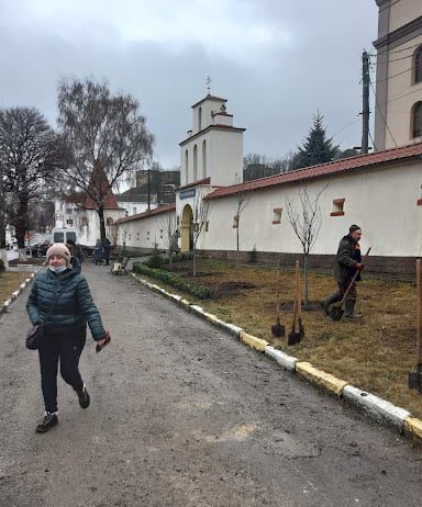 В Теребовле посажена аллея сакур