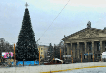 Как утилизируют елки в Тернополе?