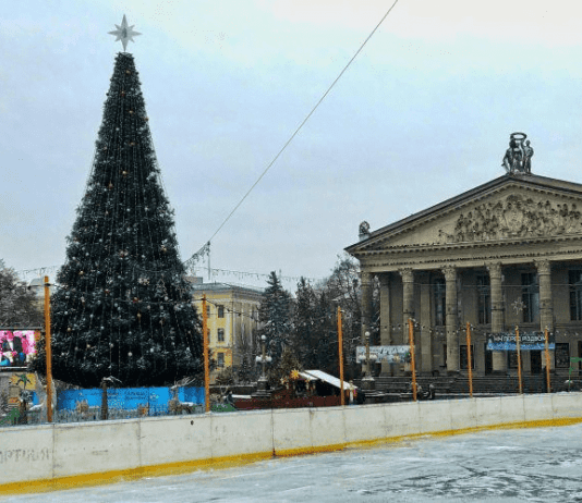 Как утилизируют елки в Тернополе?