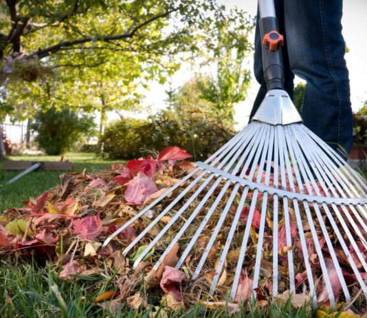 В Тернополе начнется двухмесячник благоустройства