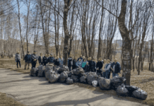 Общегородская толока в Тернополе: что это такое и особенности ее проведения