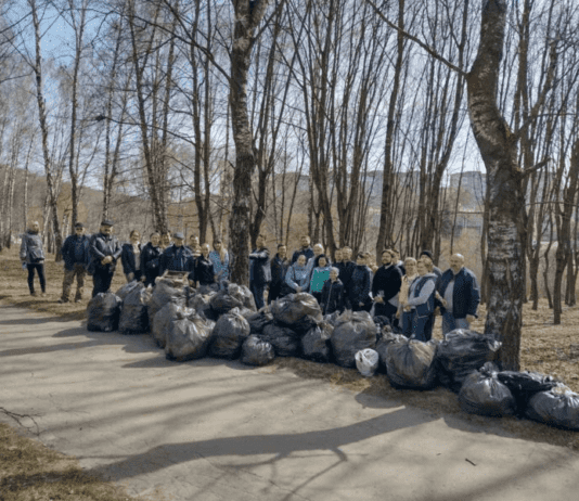 Загальноміська толока в Тернополі: що це таке та особливості її проведення