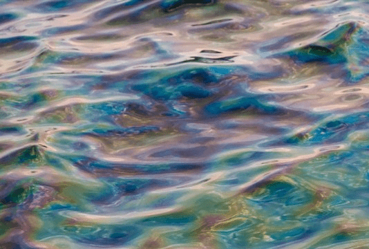 Що робити тернополянам у разі забруднення водойми хімічними речовинами?