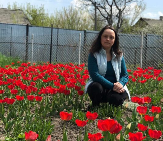 На подвір’ї жительки Тернопільщини квітнуть сотні тюльпанів