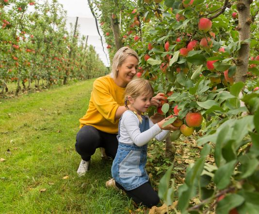 Як з’явився сучасний італійський сад на Тернопільщині