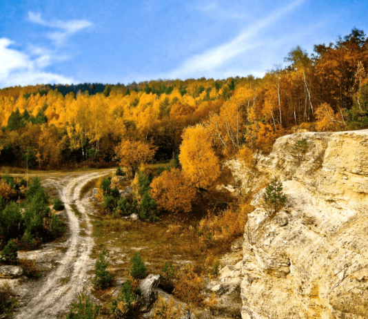 История Кременецкого ботанического сада