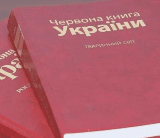 Животные Тернопольщины, охраняемые в Красной Книге Украины