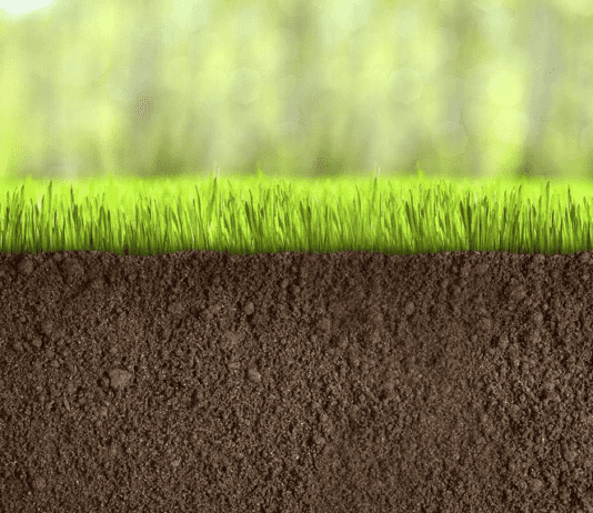 Эко-бренд Тернополя “Eco Organic Product”