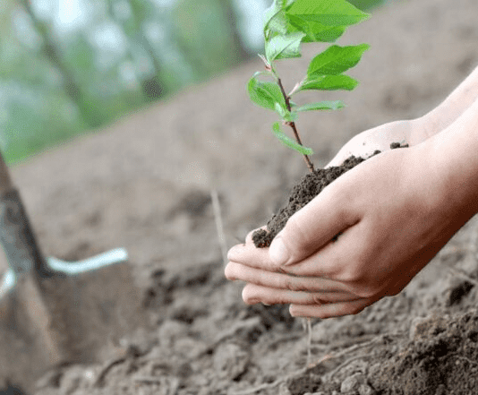 Какие экологические акции проходили в Тернопольской области?