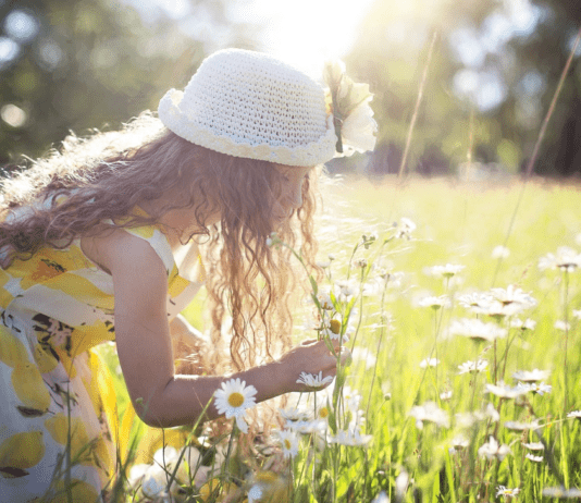 Как жителям Тернополя жить в стиле эко?