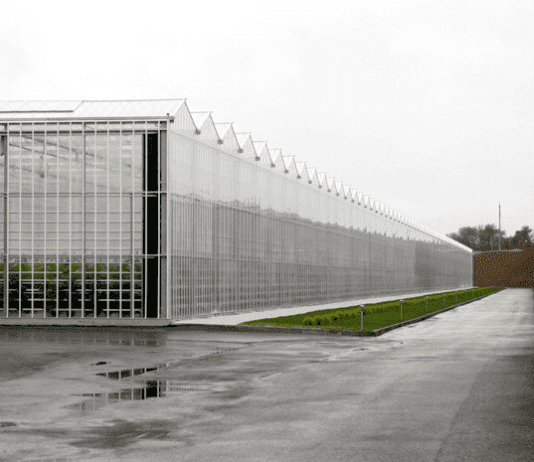 Тепличный комплекс “DF Agro” Дмитрия Фирташа в Синькове