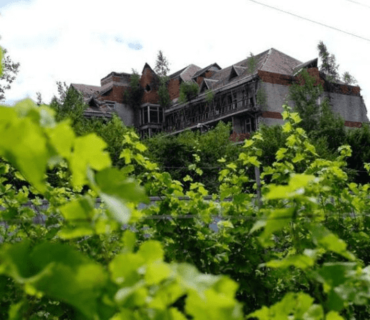 “Father’s Wine”: история первой семейной крафтовой винодельни Тернопольщины