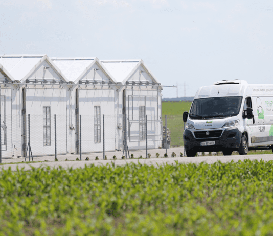Fungi Farm — самая большая ферма шампиньонов в Тернопольской области