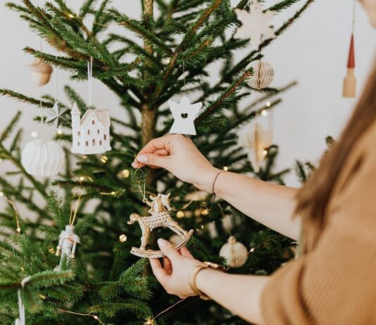 Где купить елку в Тернополе?